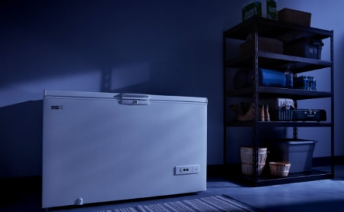 Chest freezer in garage