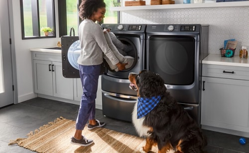 A dog watching its owner loading a dog bed into a front load washer on a pedestal next to a front load dryer
