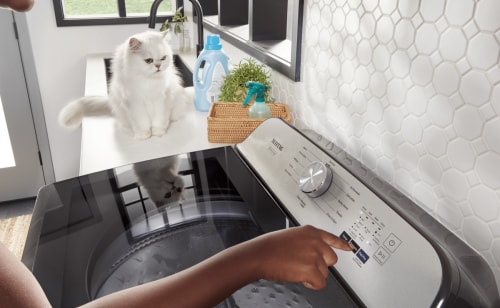 A laundry room with a cat.