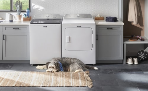 A Maytag® washer with a dog next to it.