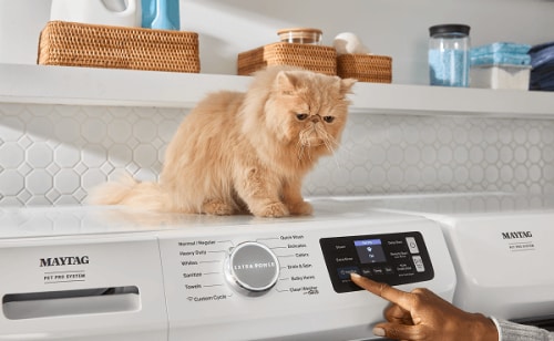 Cat sitting on top of a Maytag® washer while person selects settings
