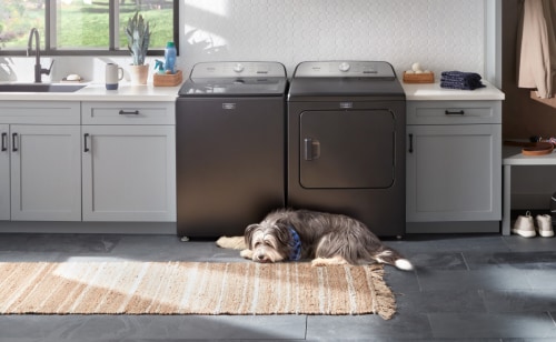 Dog laying in front of Maytag® washer and dryer in laundry room