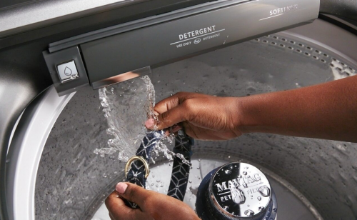 Hands rinsing a collar under water
