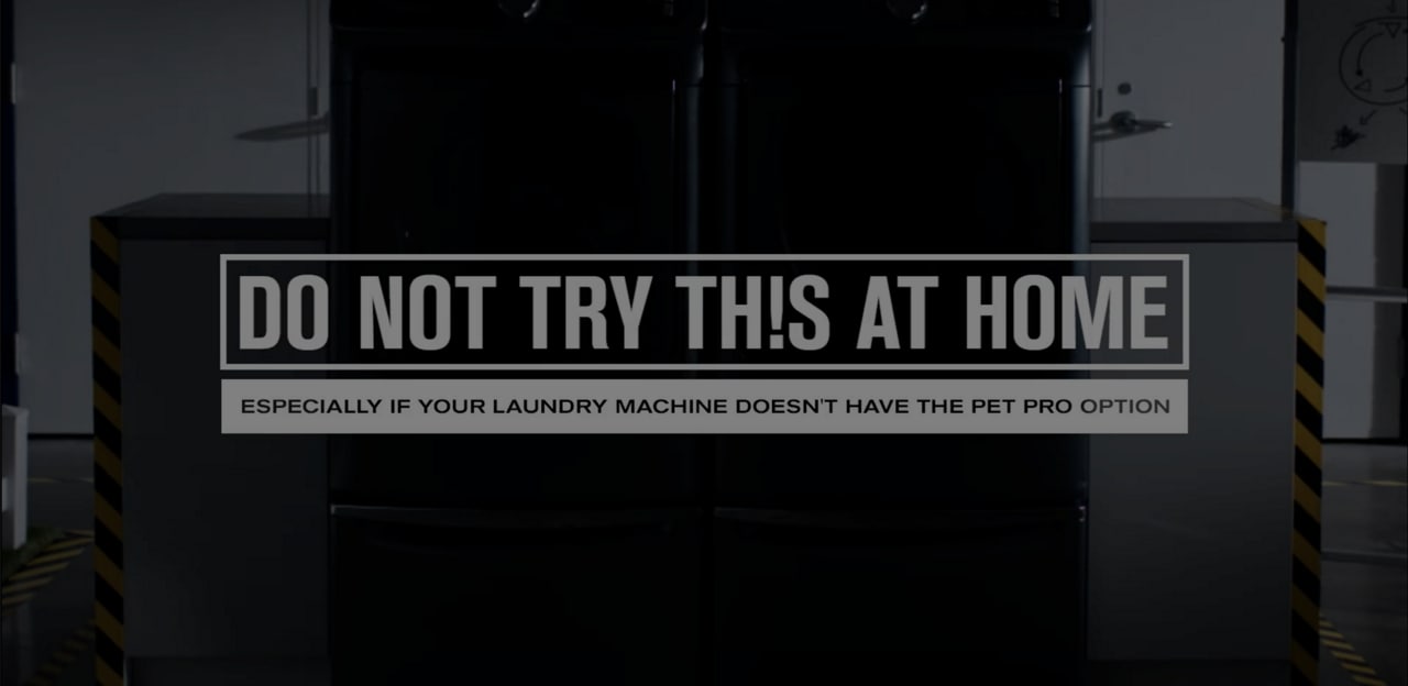 pets-video-thumbnail