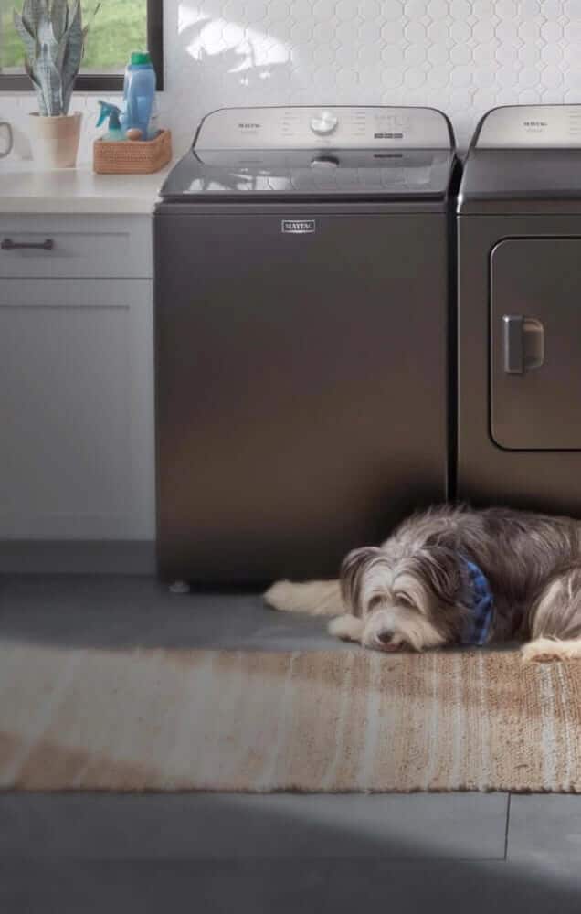 A dog laying in front of the Pet Pro System.