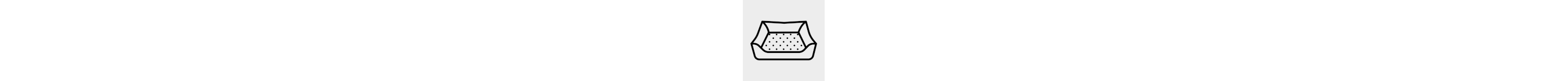 Dog bed icon