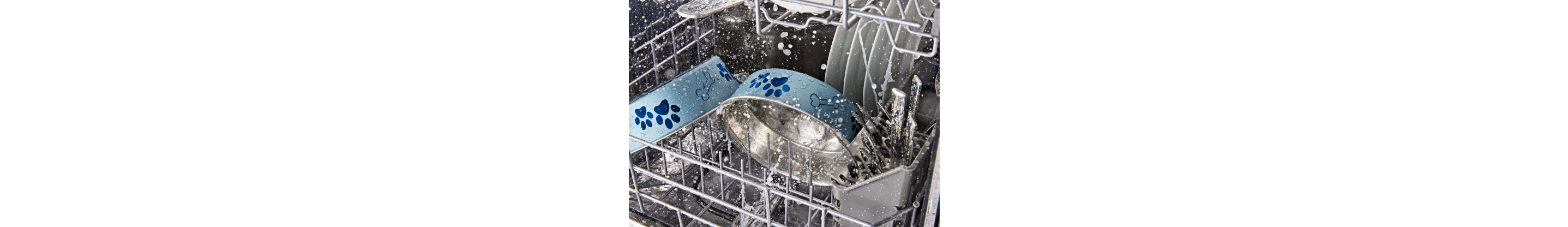 Pet bowls washing in a dishwasher