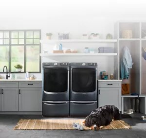 A Maytag® Front Load laundry pair with a dog in front