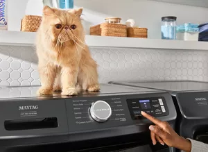 Dependable Kitchen & Laundry Appliances | Maytag Dependable Kitchen & Laundry Appliances | Maytag