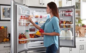 Big size sales refrigerator for home