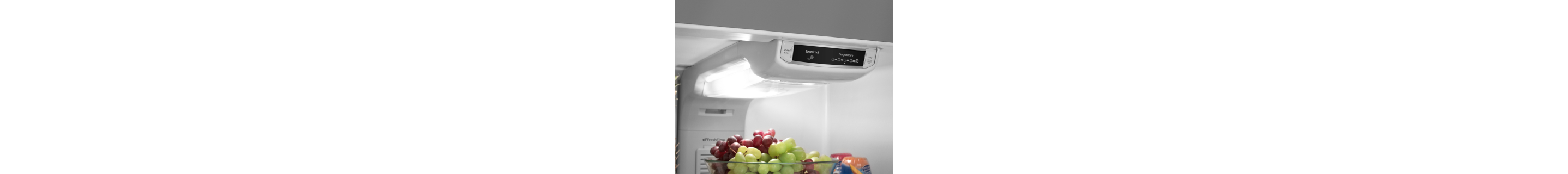 Refrigerator light
