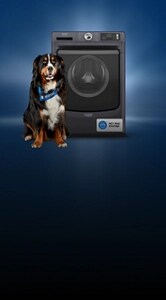 A front load washing machine with a dog.