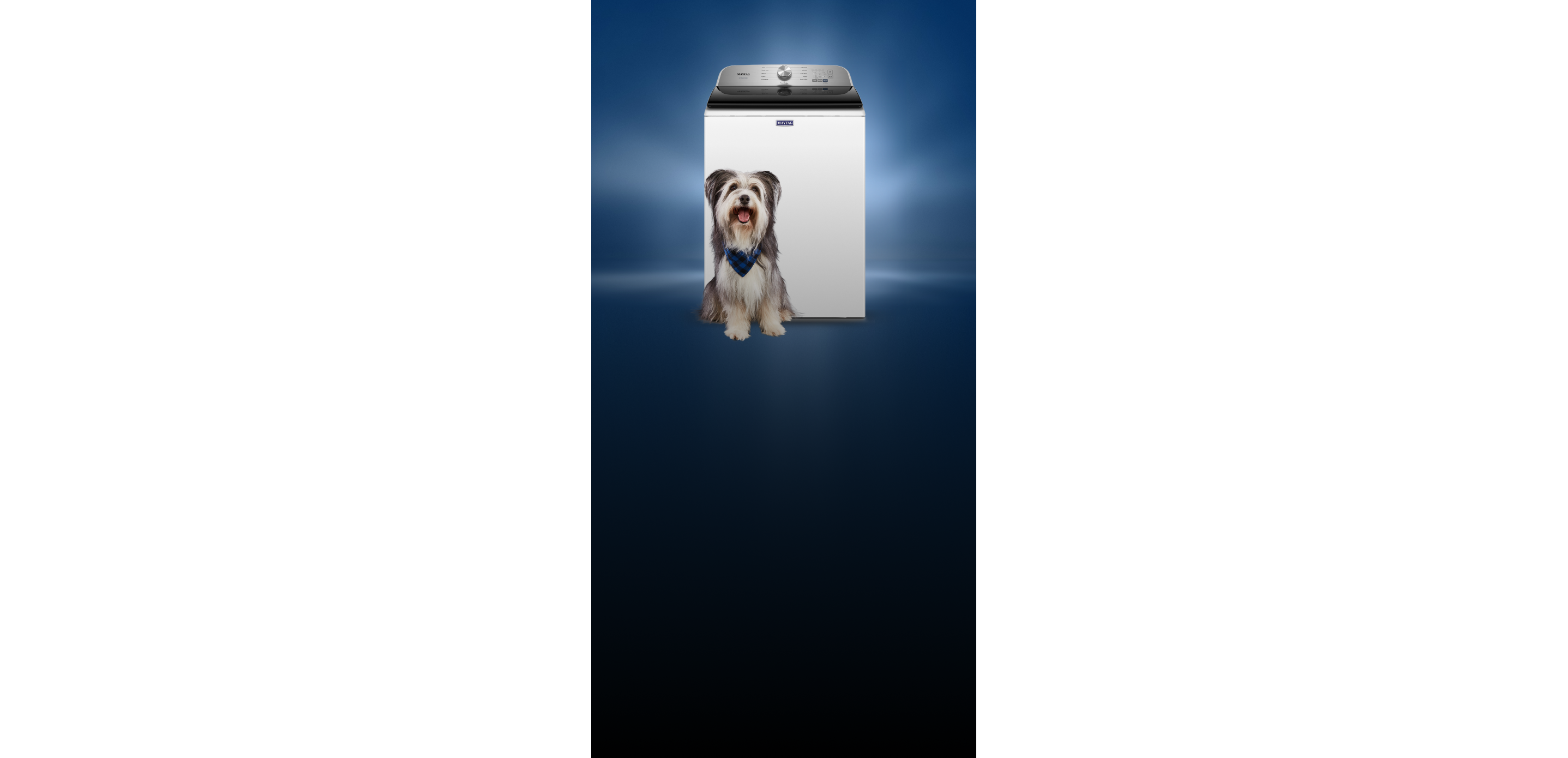 A top load washing machine with a dog in front of it.