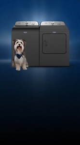 A Maytag® laundry set.