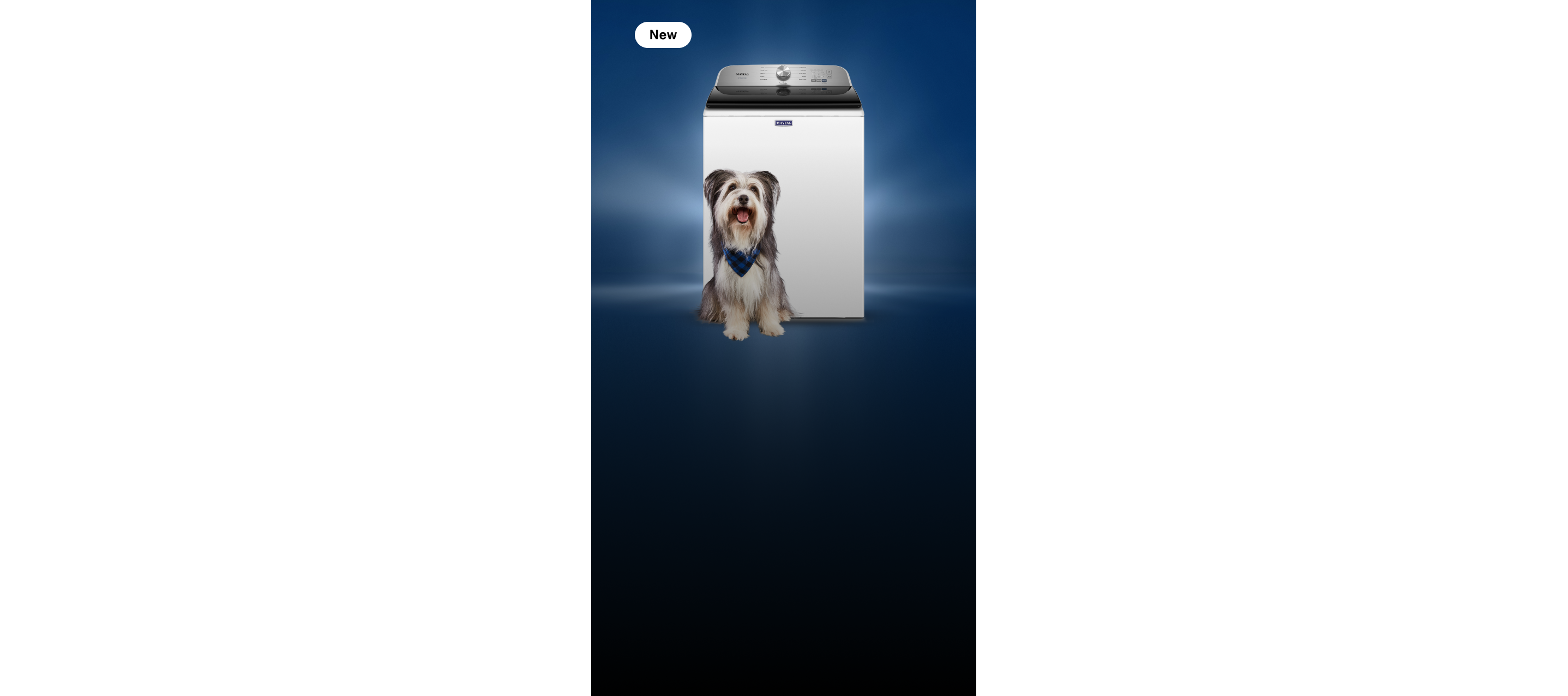 A top load washing machine with a dog in front of it.