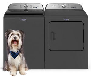 A furry dog in front of a Maytag® Pet Pro washer and dryer set.