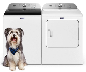 A furry dog in front of a Maytag® Pet Pro washer and dryer set.
