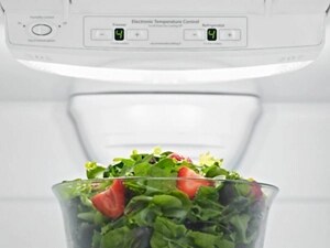 Bowl of salad below temperature controls inside a refrigerator
