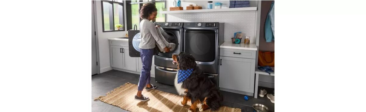 11 Ideas to Celebrate Your Dog’s Birthday | Maytag