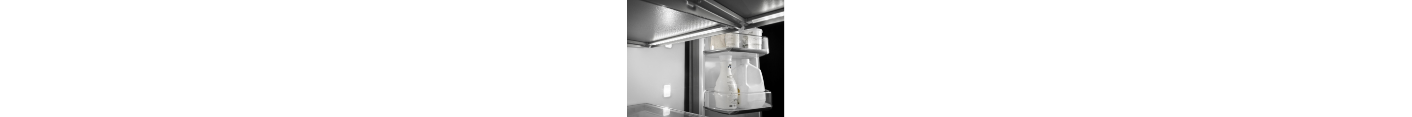 Interior of a refrigerator