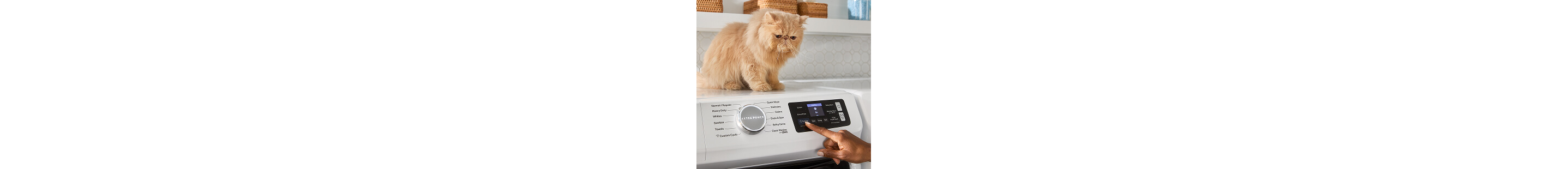 Cat sitting on top of a Maytag® washer while person selects settings