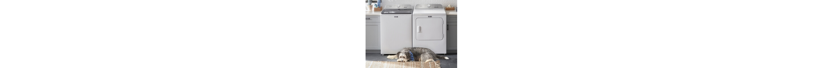 A Maytag® washer and dryer pair with a dog in front of it