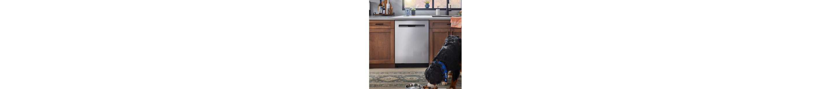 A dog eating in front of a Maytag® dishwasher