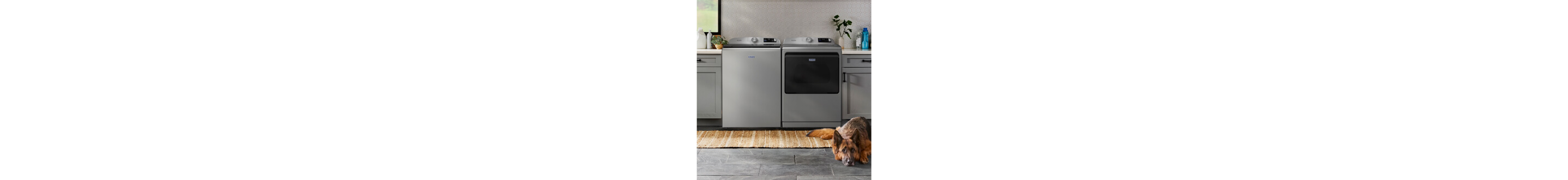 A dog laying in front of a Maytag® washer and dryer set