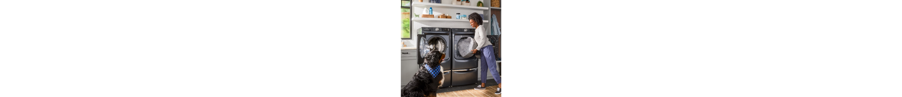 A person and dog in front of washer and dryer