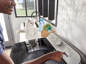 A person doing laundry with a cat nearby
