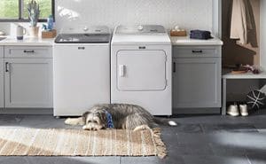4 Hacks for Removing Pet Hair From Your Laundry Maytag