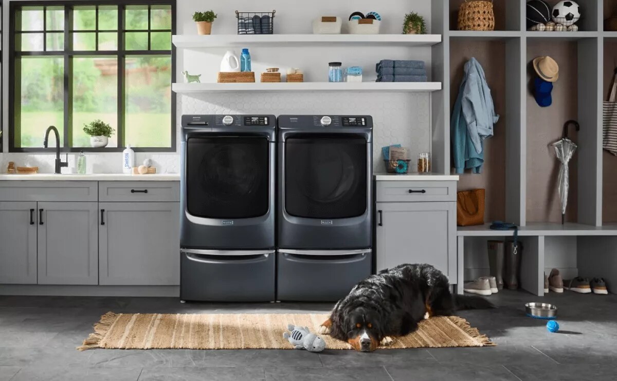 7 Ways to Celebrate National Pet Day | Maytag