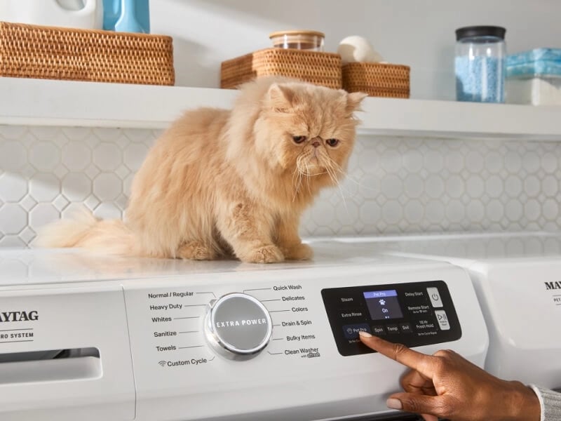 An orange cat sitting on top of a white Maytag® Pet Pro front load washer