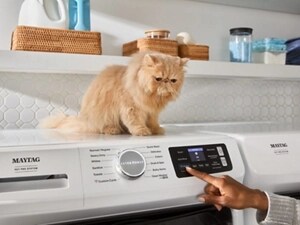 A cat sitting atop a Maytag® Pet Pro Washer
