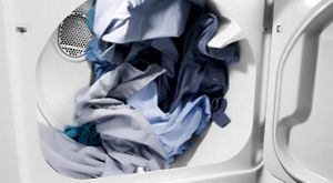 The dryer 2025