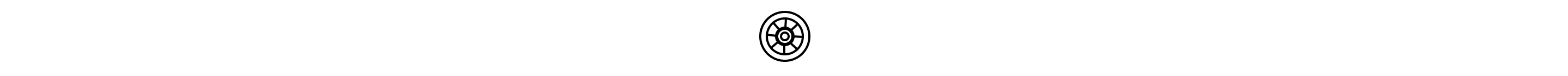 Wheel icon