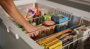 Latest freezer store