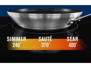 Graphic showing simmer, sauté and sear temperatures