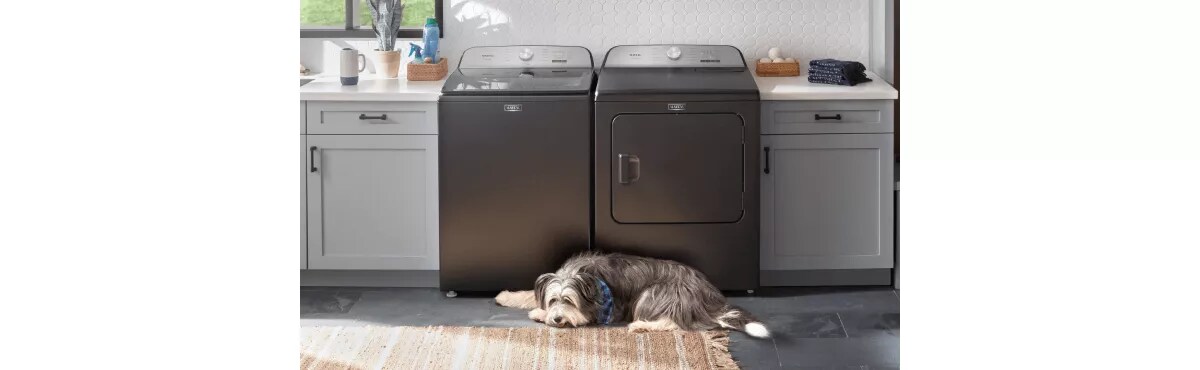 How To Deal With Dog Shedding: 4 Tips And Tricks | Maytag