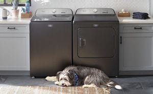 How to Remove Dog Hair From Your Washer and Dryer Maytag
