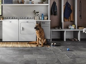 Dog sitting in front of white Maytag® top load laundry pair 