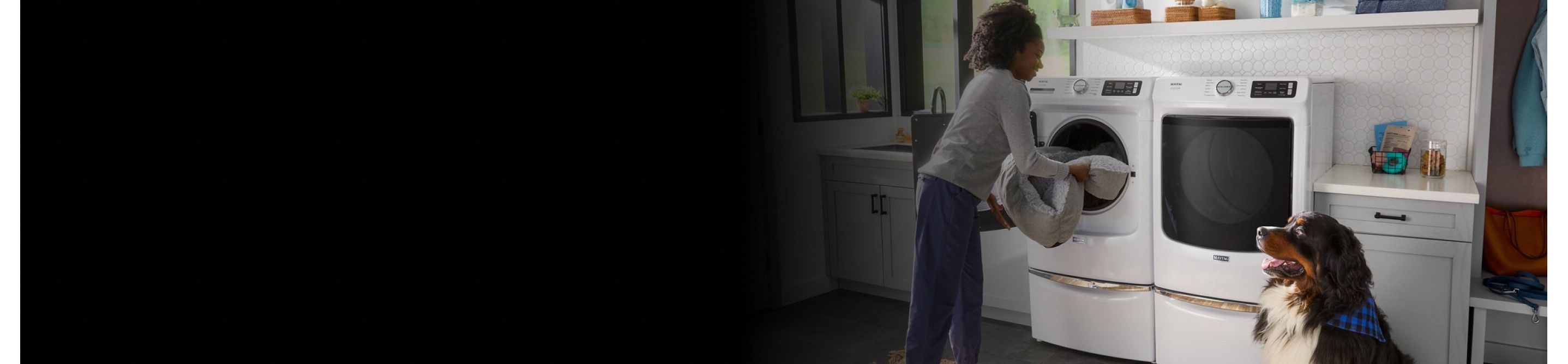 A person loading a dog bed into a white front load washer on a pedestal in a laundry room while a dog watches