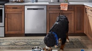 How to Load a Dishwasher the Right Way | Maytag