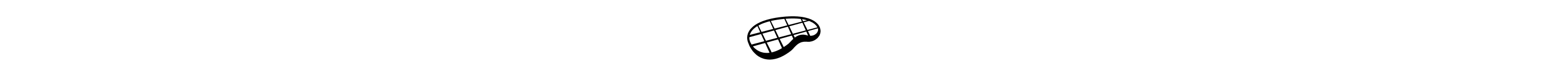 Steak icon