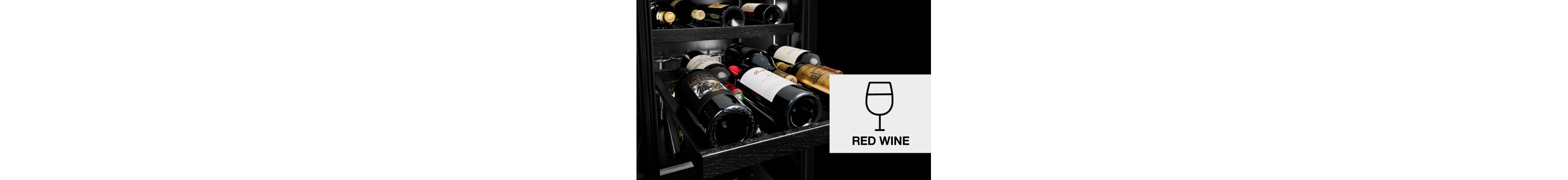 Bottles of wine on a wine rack