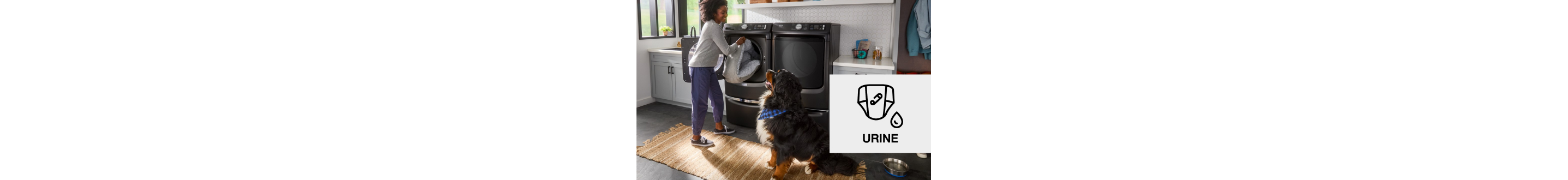 Person loading laundry into a washer while their dog looks on