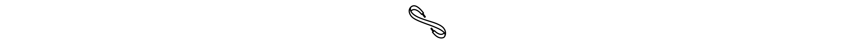 Shoelace icon