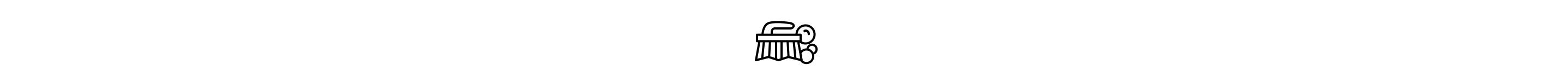 Scrub brush icon