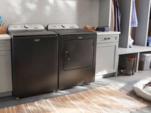 Washing dog sales bed in washer