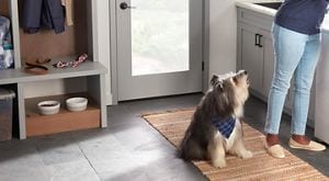 Washing dog bowls with human hot sale dishes